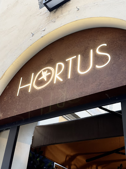 Pizzeria - Pizzeria Hortus - Firenze - Italia Delight