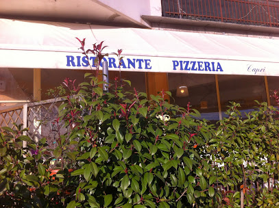 Restaurant - Restaurant Pizzeria Capri - Italia Delight