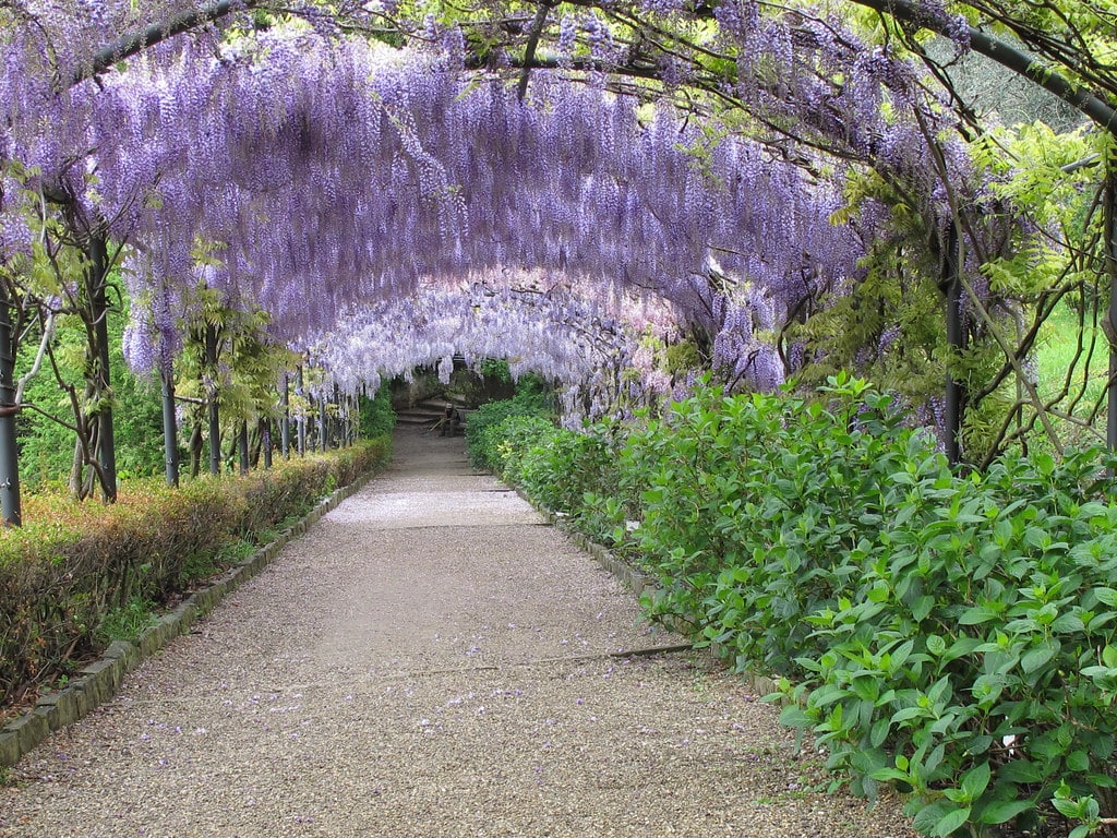 Firenze giardino Bardini