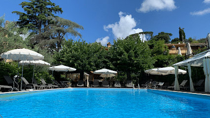 Swimming pool - Villa Alta Swimming Pool - Italy Delight