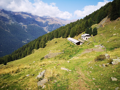 Alloggio turistico - Malga Levi - Italia Delight