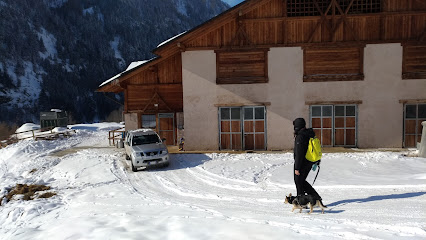 Rifugio di montagna - Rifugio Ai Piani Del Vioz Srl - Italia Delight