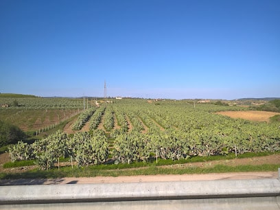 - Azienda Agricola Biologica di Paternico Ettore - Italia Delight