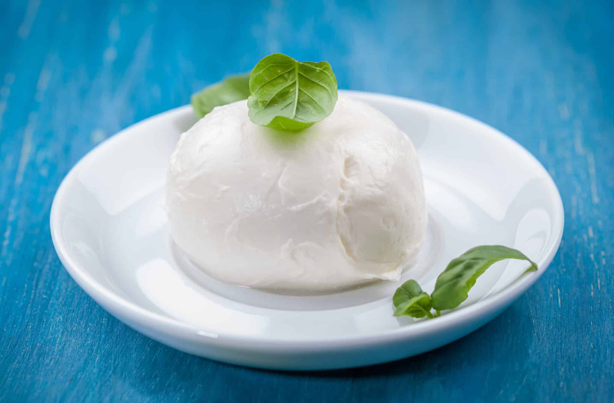 Porzione di deliziosa mozzarella di bufala con foglie di basilico. Prelibatezza italiana