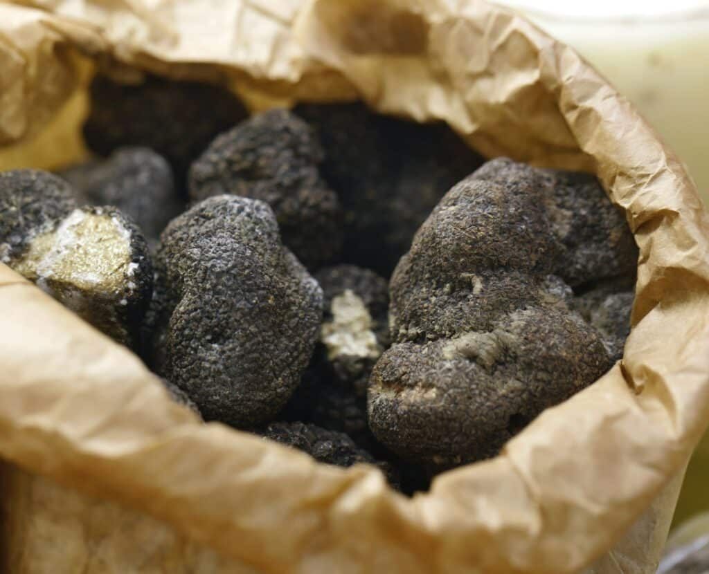 Champignon à la truffe noire et blanche