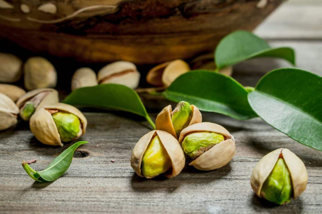 Pistachios with green leaves .