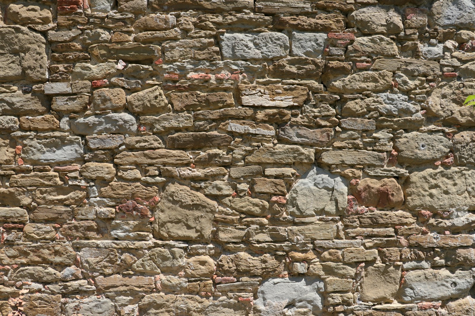 Le Mura Medicee di Arezzo