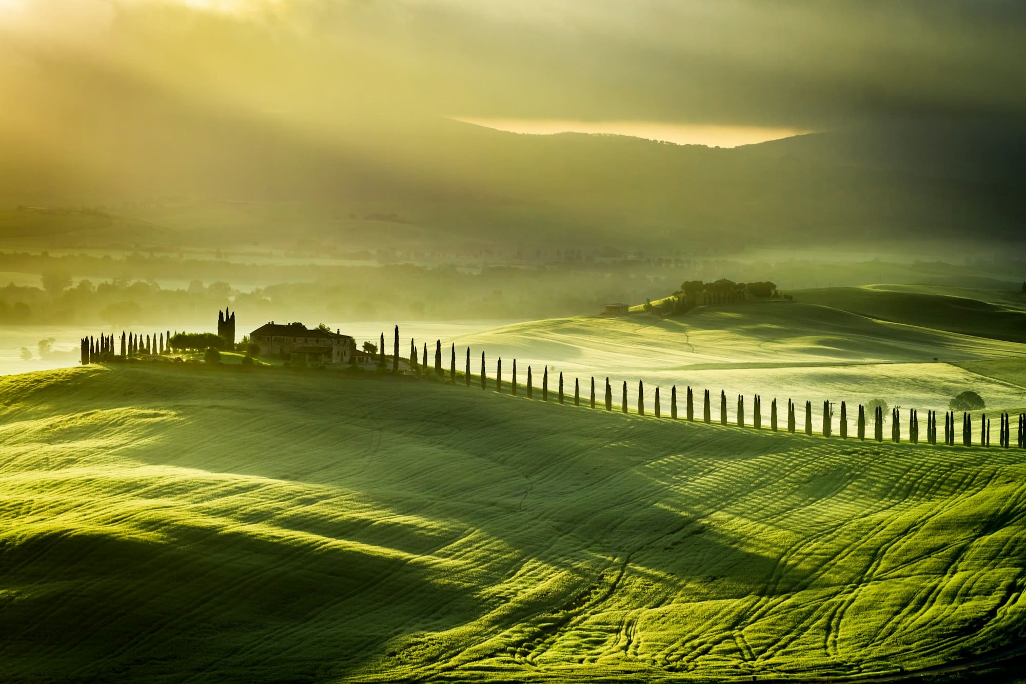 Alba a San Quirico d'Orcia