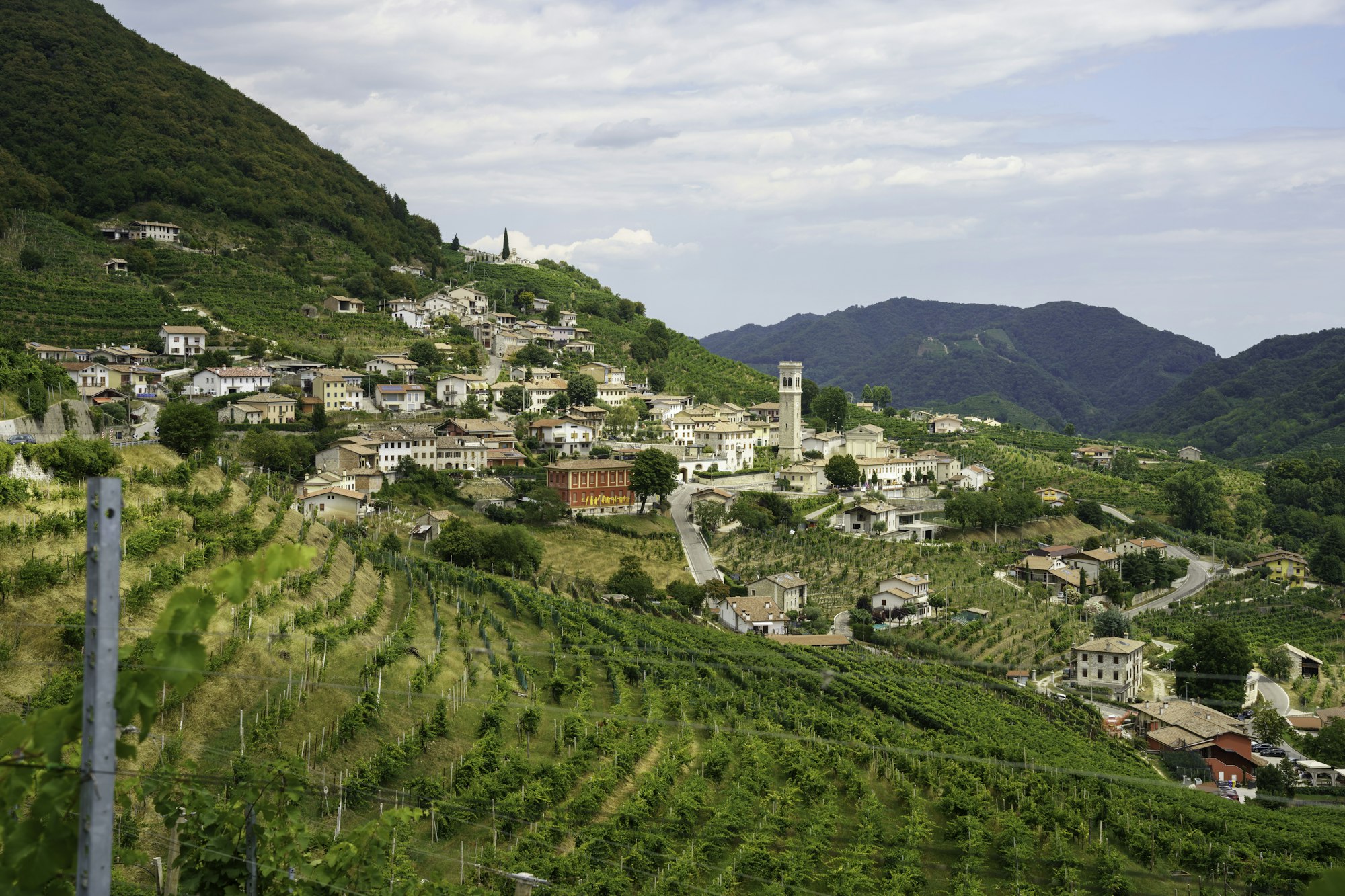 Vigneti lungo la Strada del Prosecco e dei Vini di Conegliano