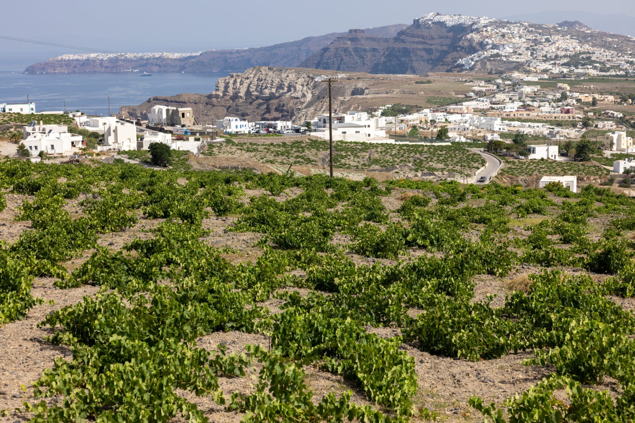 Vigneto con vista su villaggio greco.