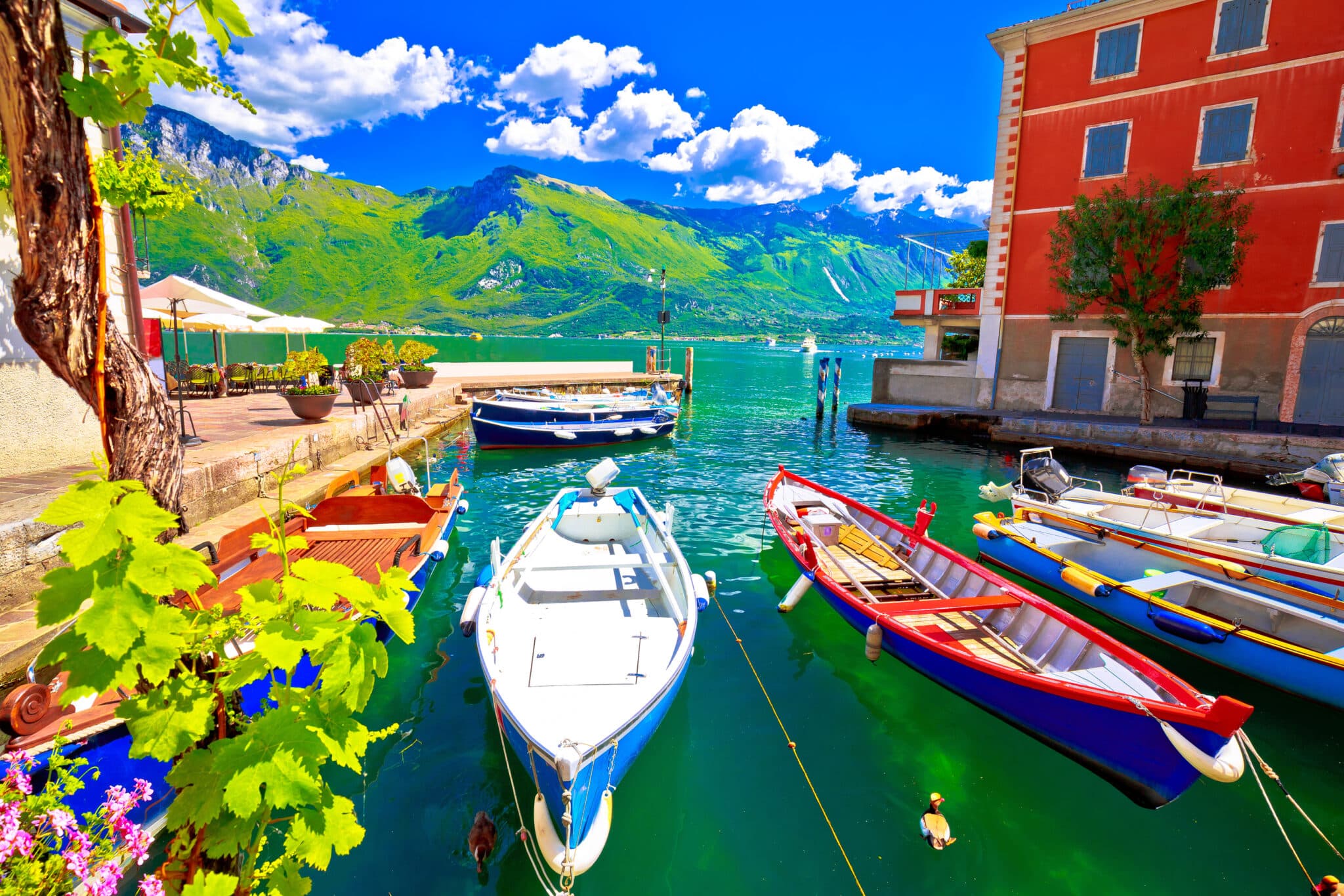 Port de plaisance italien avec des bateaux colorés et des montagnes.