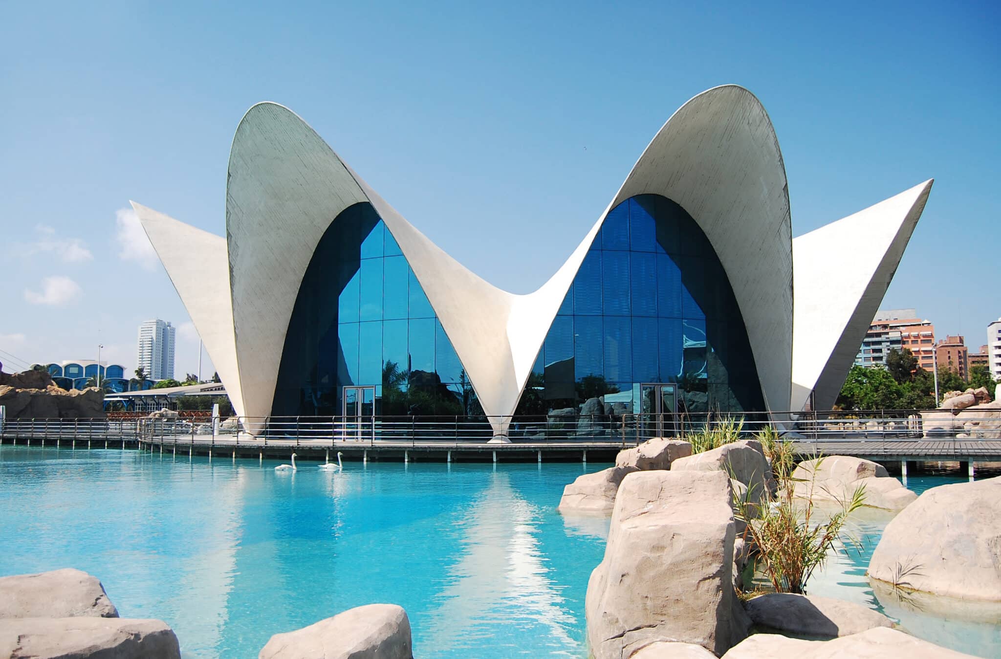 Oceanografico Valencia, architettura moderna e specchio d'acqua.