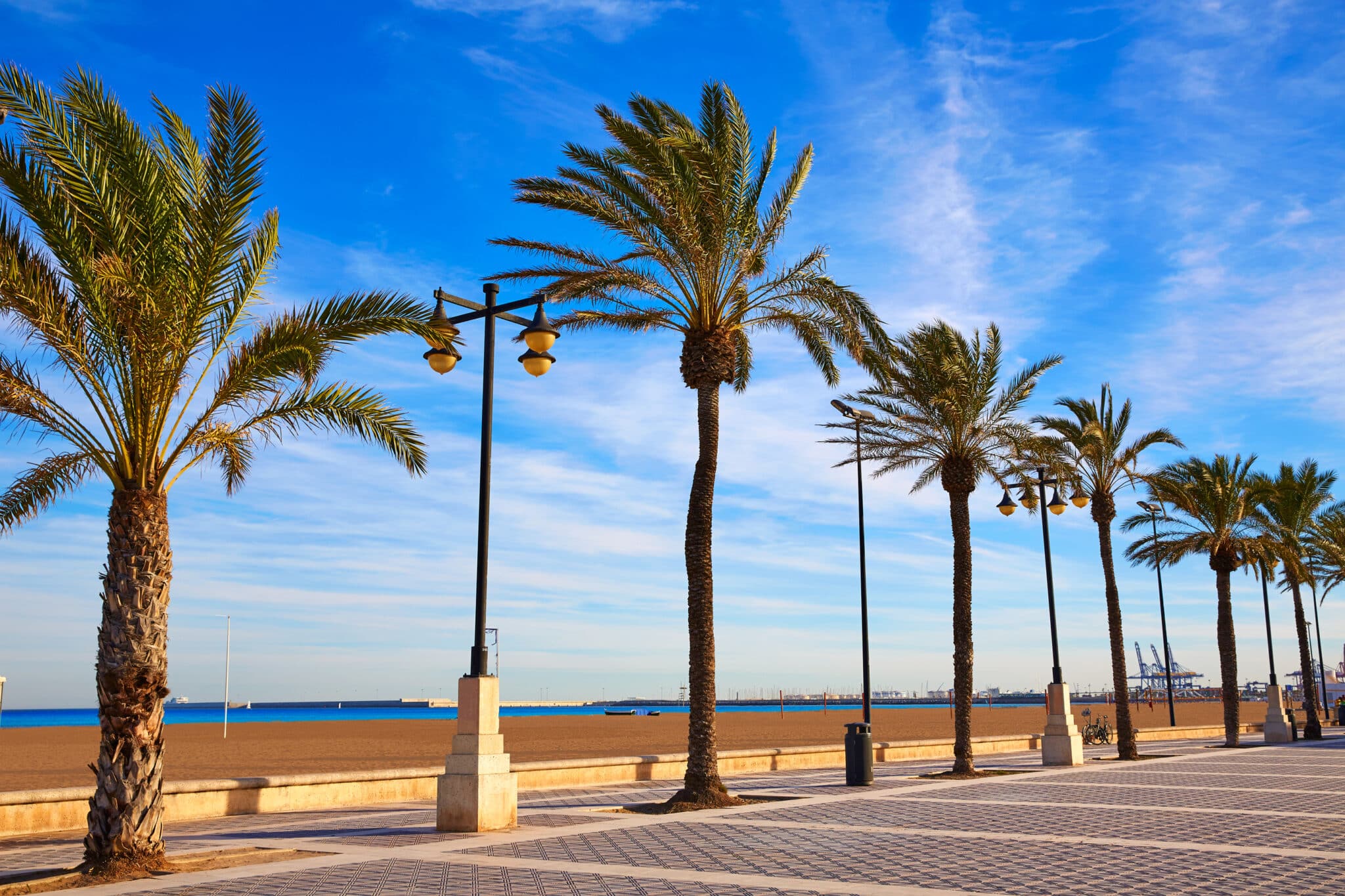 Lungomare con palme e lampione.