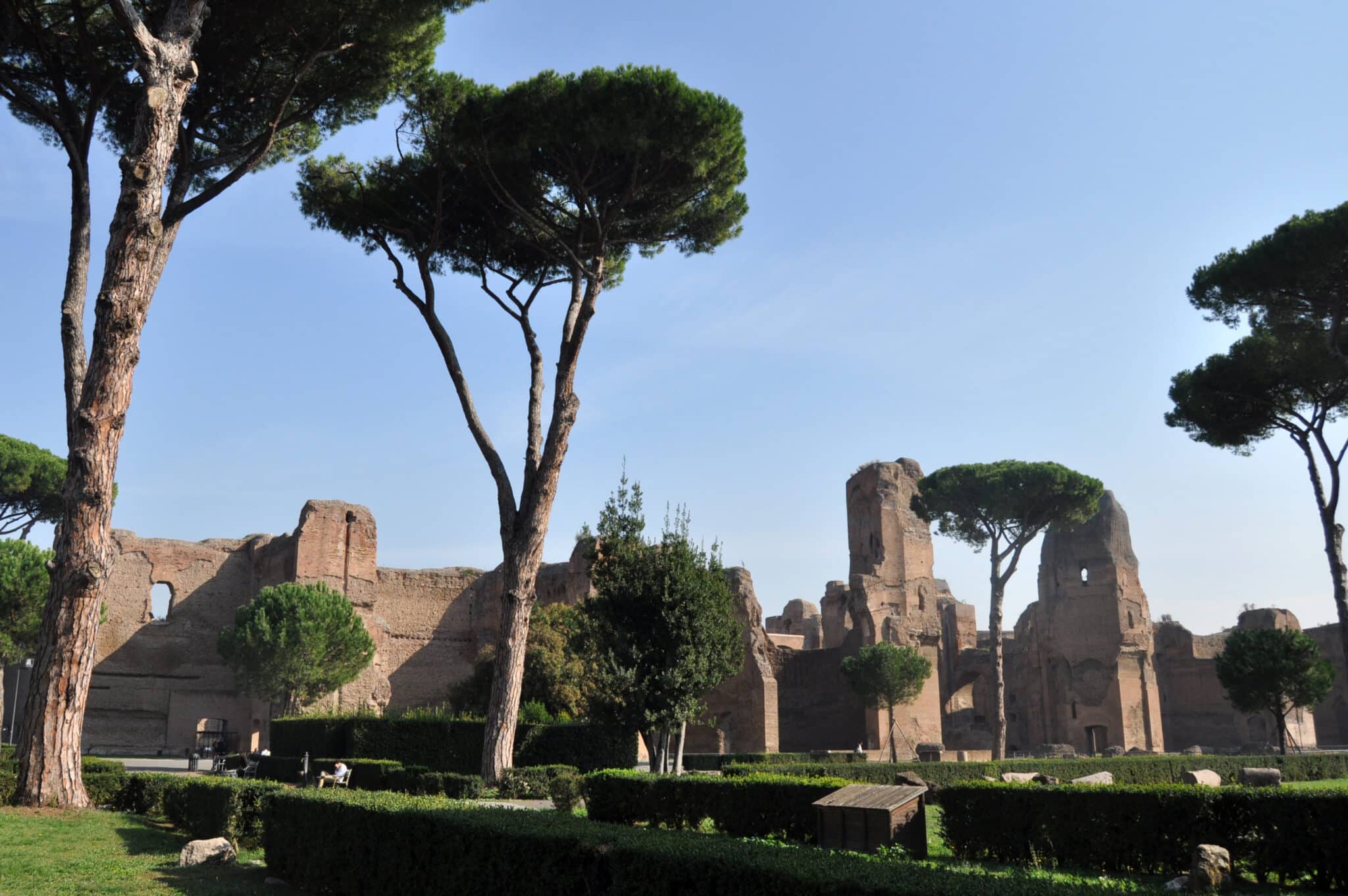 Rovine antiche con alberi a Roma.