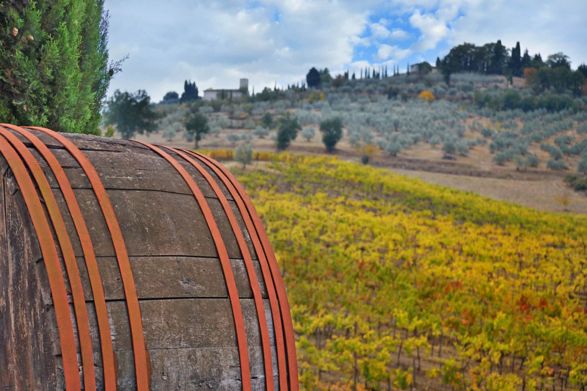 Botticella in primo piano, vigneto autunnale sullo sfondo.