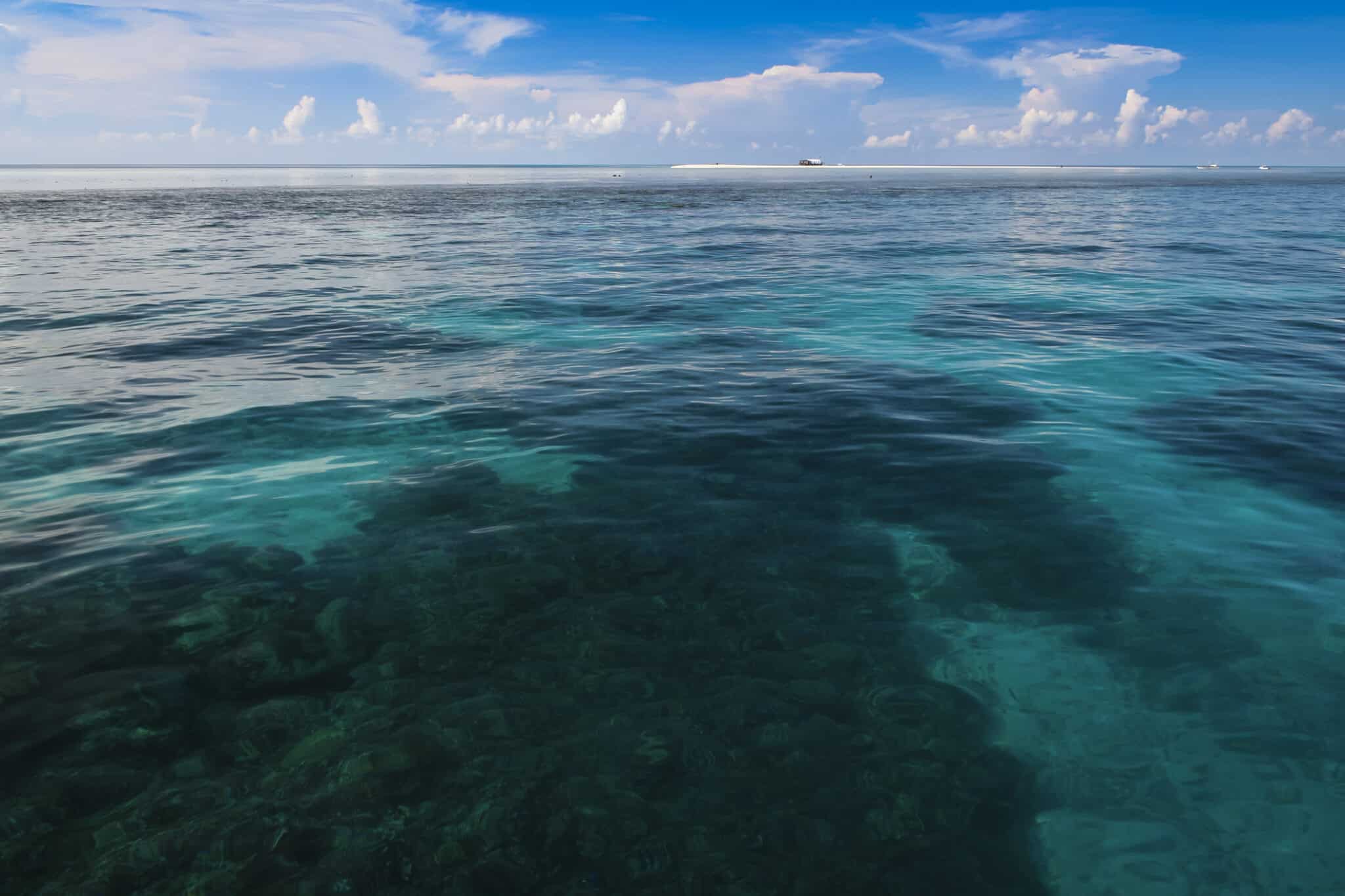 Vista sul mare Filippine palawan della scogliera di Tubbataha