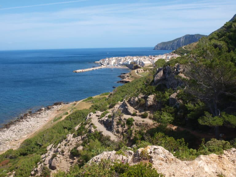 Vue panoramique du littoral méditerranéen avec végétation.