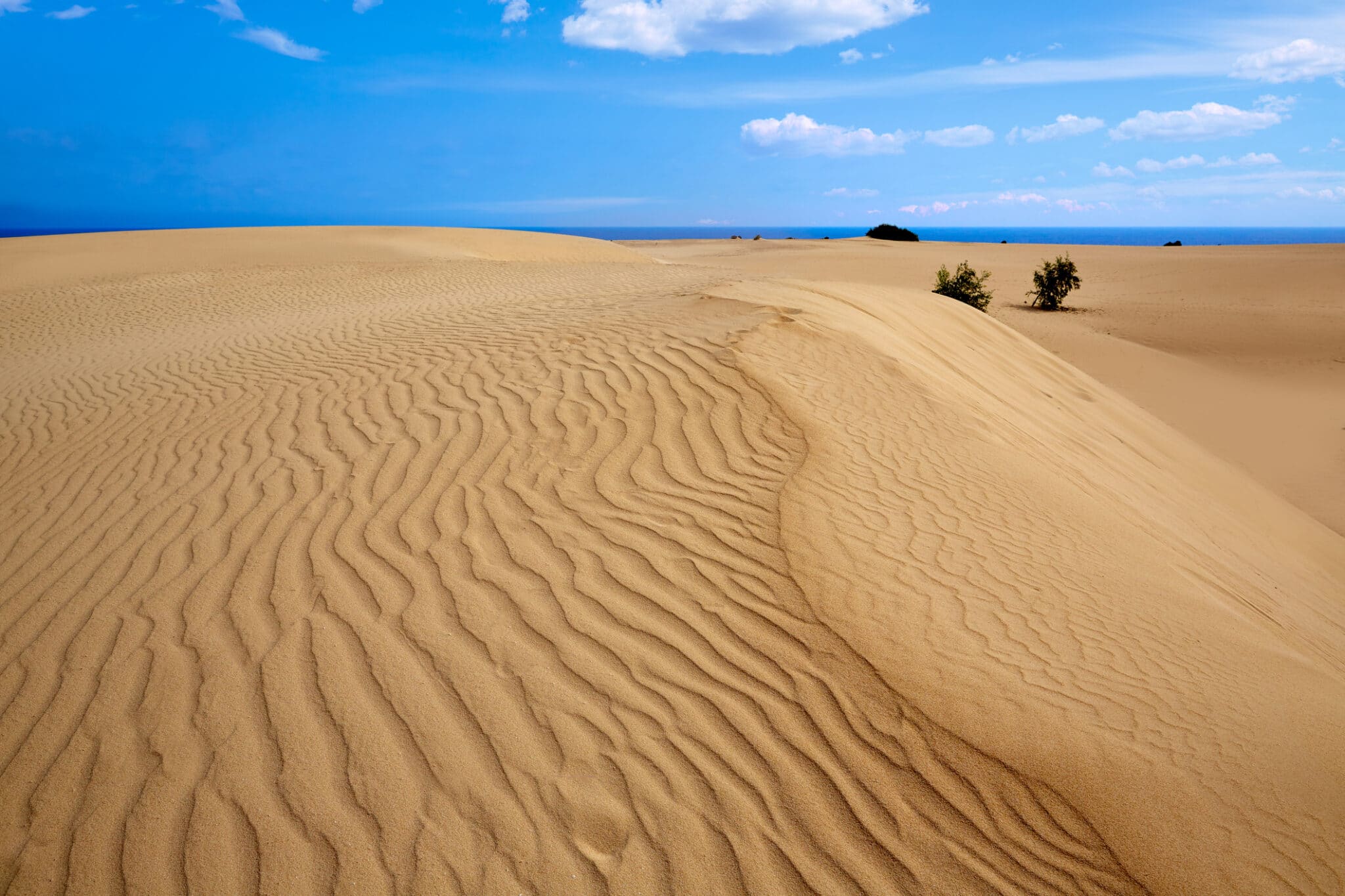 Deserto dell'isola di Fuerteventura delle dune di Corralejo. Dune di Corralejo Deserto di Fuerteventura alle Isole Canarie della Spagna