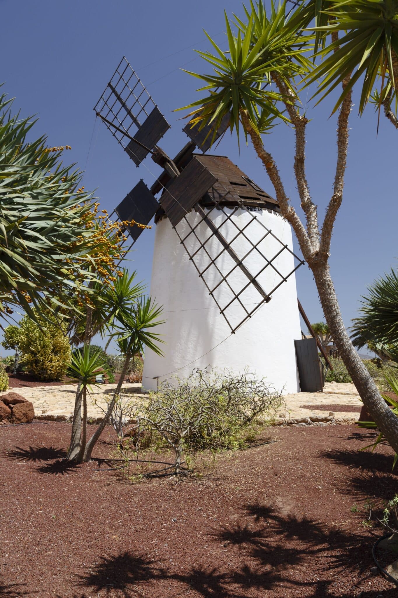 Mulino a vento ad Antigua Fuerteventura. Vecchio mulino a vento al Centro de Artesania molino de Antigua a Fuerteventura, Isole Canarie