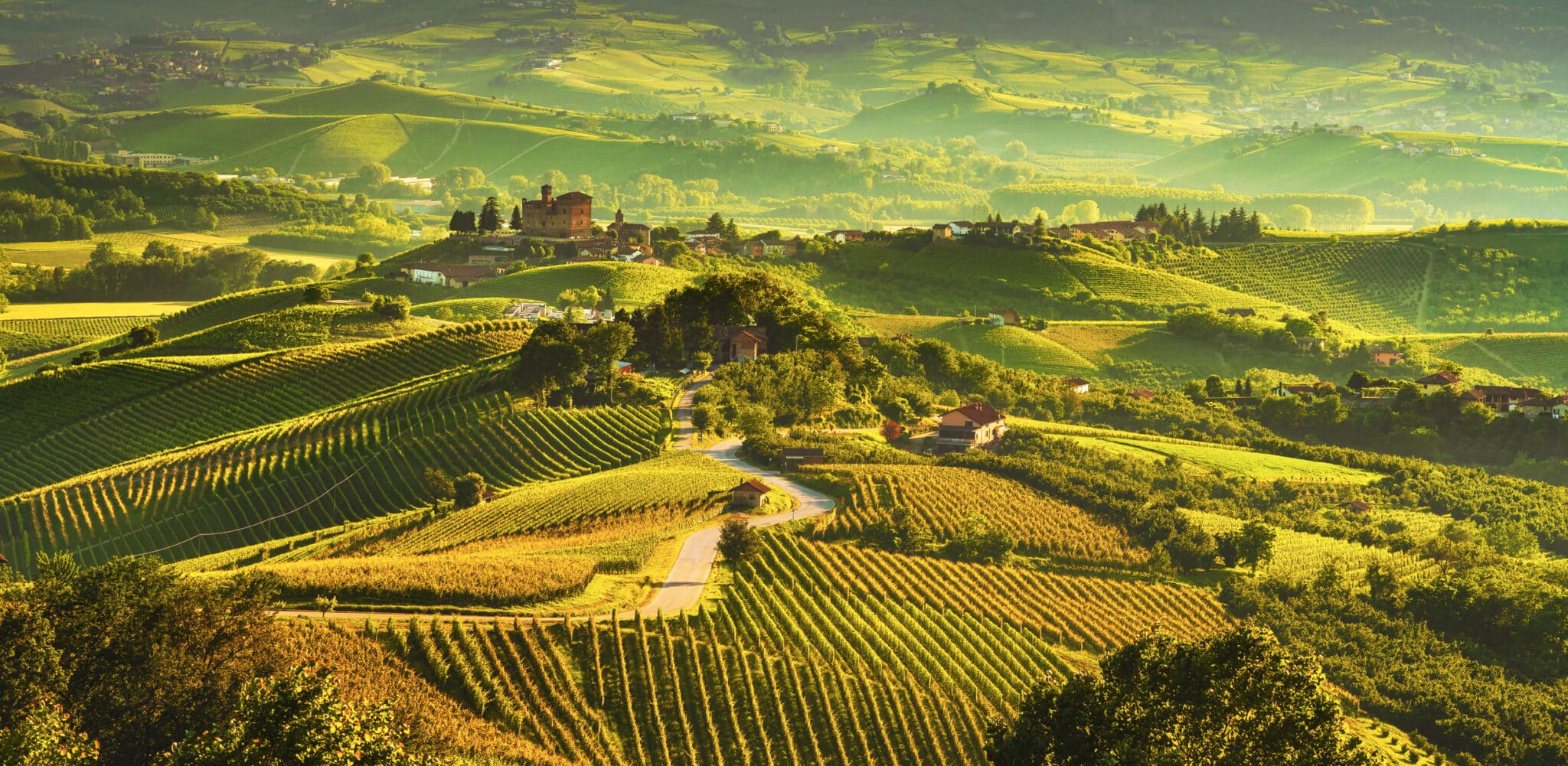 Panorama Sulle Langhe