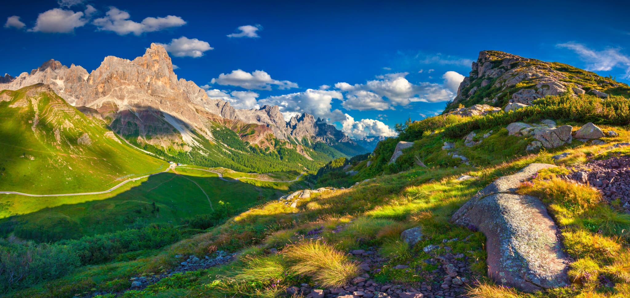 Panorama delle pale di san martino da Passo Rolle