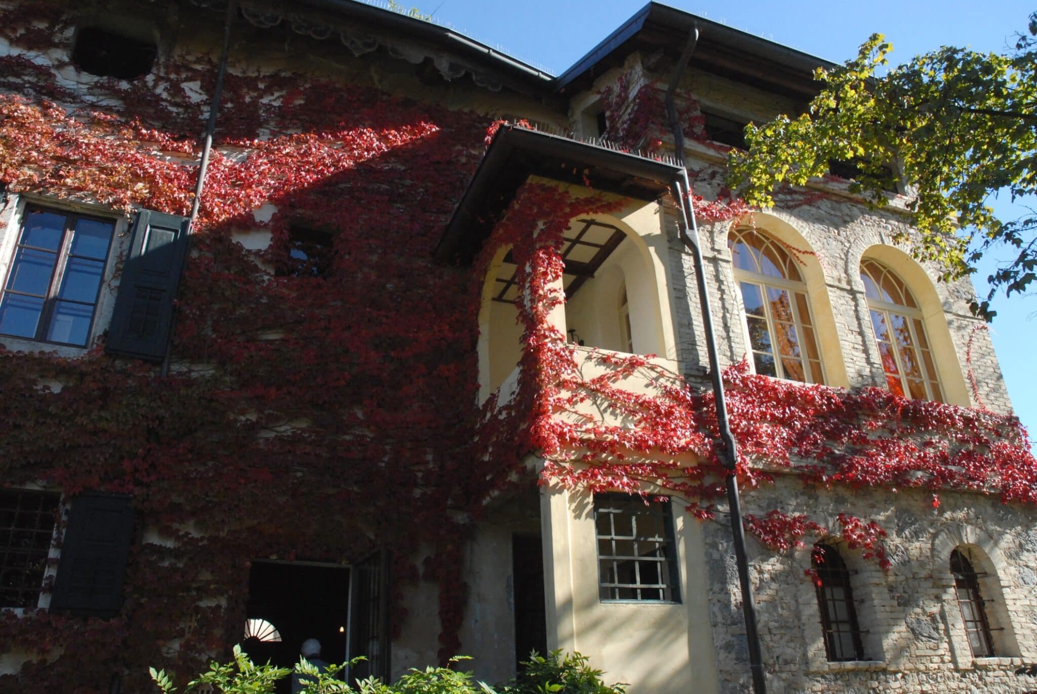 Retro del castello con bella edera rossa nel villaggio di Strassoldo Friuli (Italia).