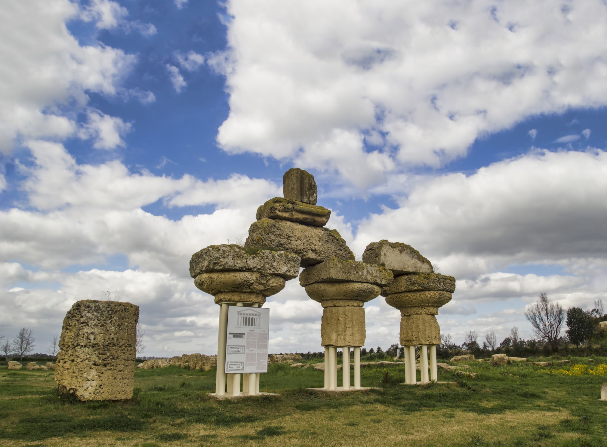 Rovine romane parco archeologico di metaponto policoro.