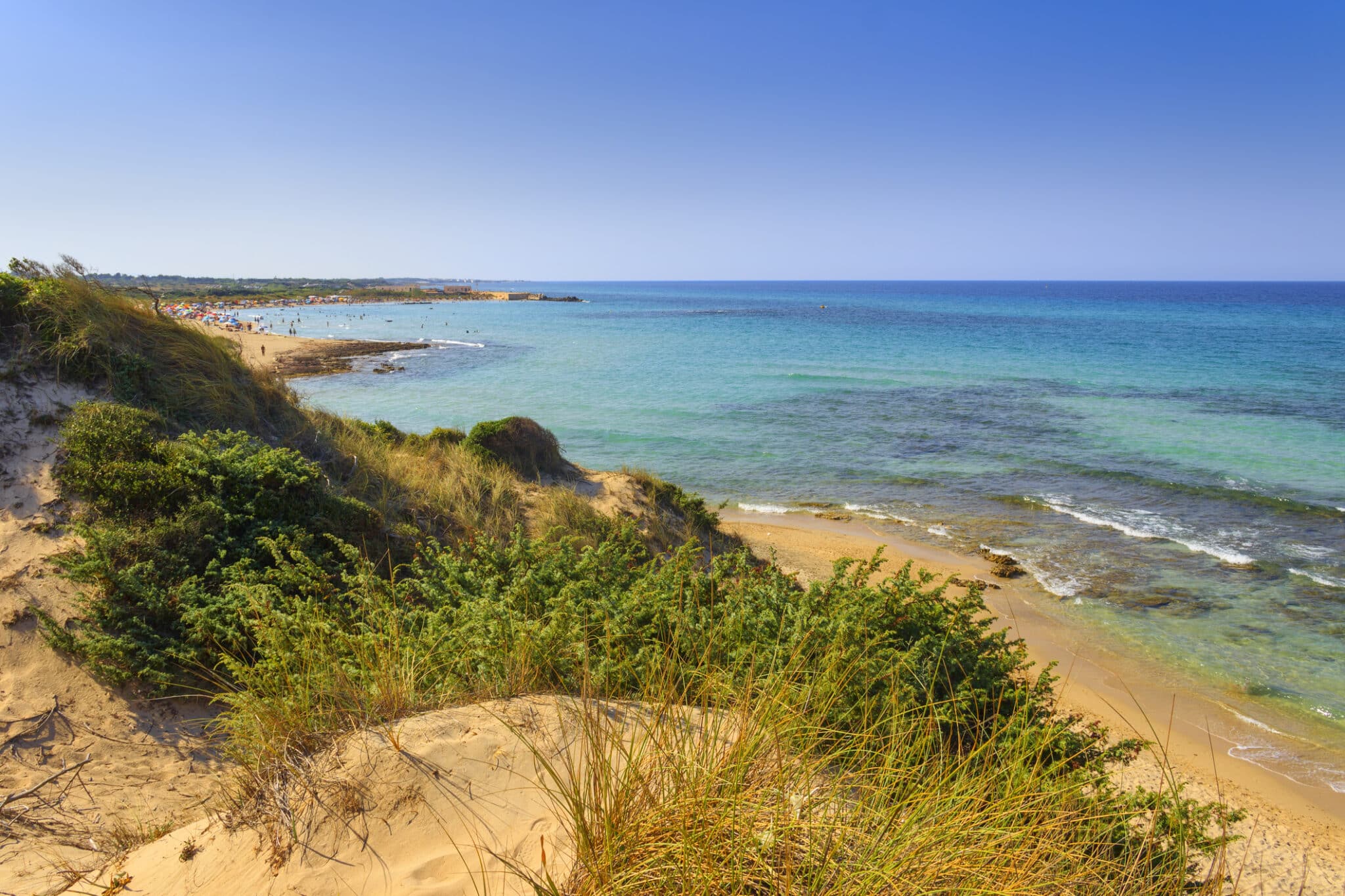 Torre Guaceto vista panoramica della costa dalle dune. Macchia mediterranea