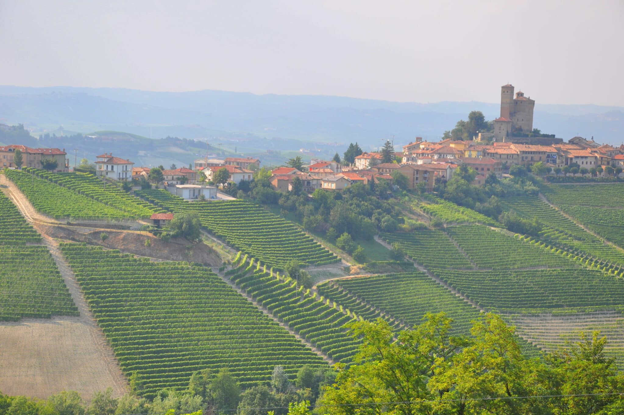 Vigneti e Villaggio Alba