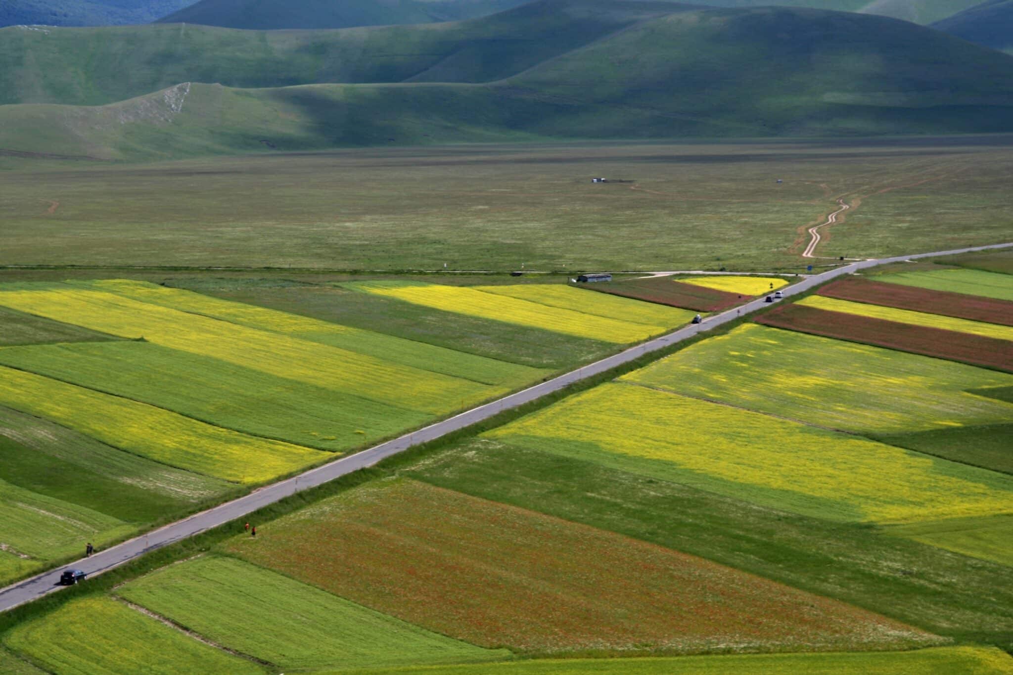 Castelluccio Paysage de printemps Paysage printanier pris près de Castelluccio di Norcia Umbria - Italie