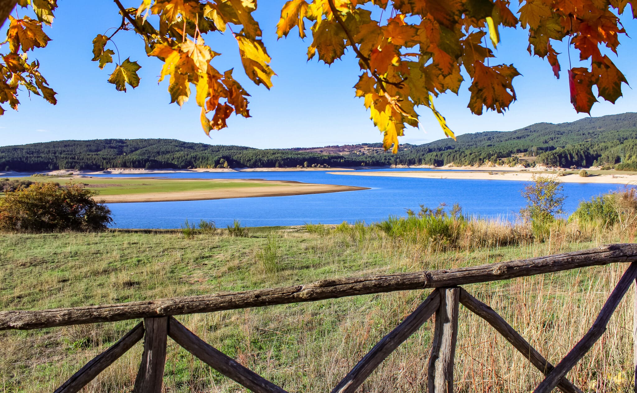 Paysage d'automne avec lac et feuilles colorées.