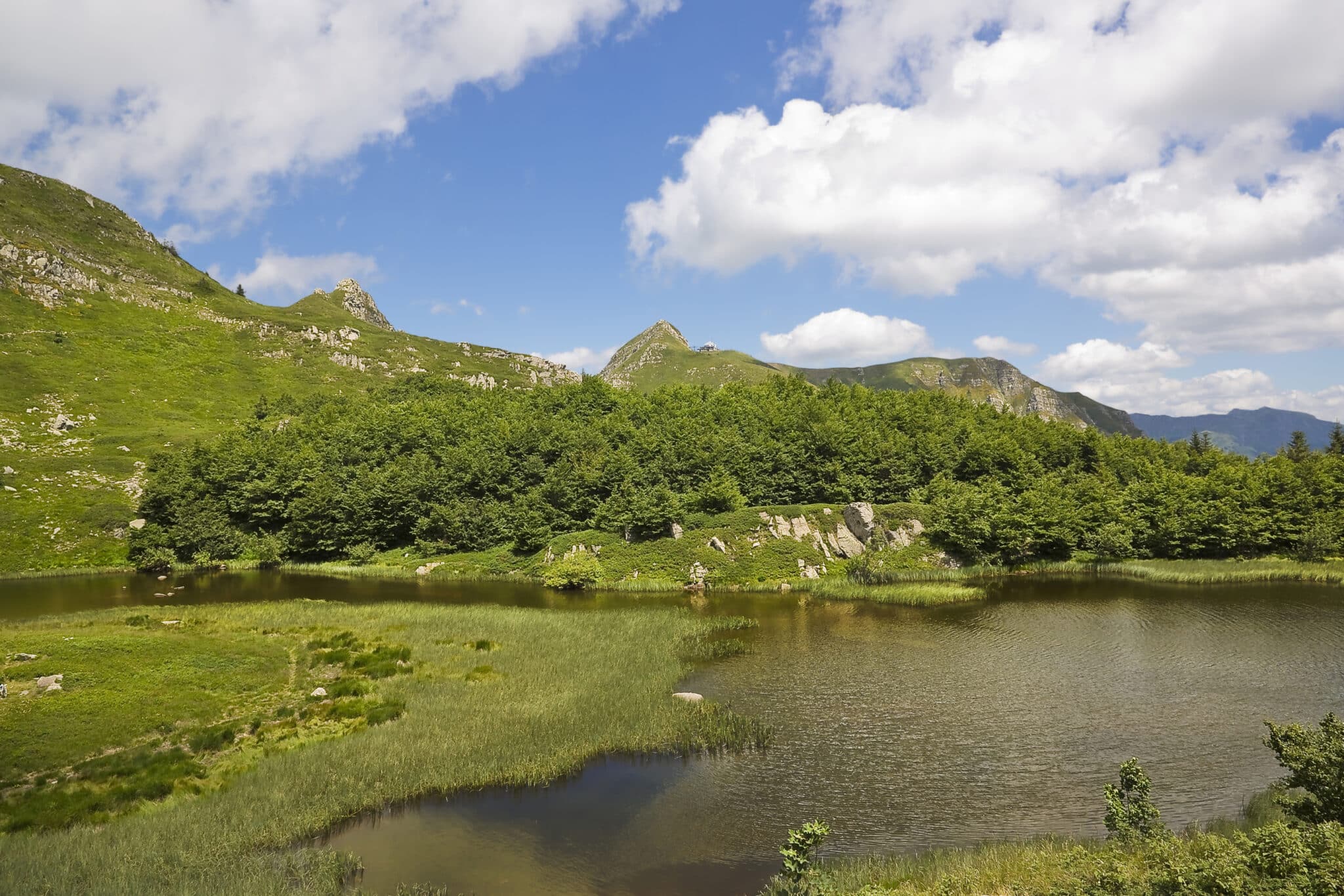 Montagna verdeggiante con laghetto e cielo azzurro.