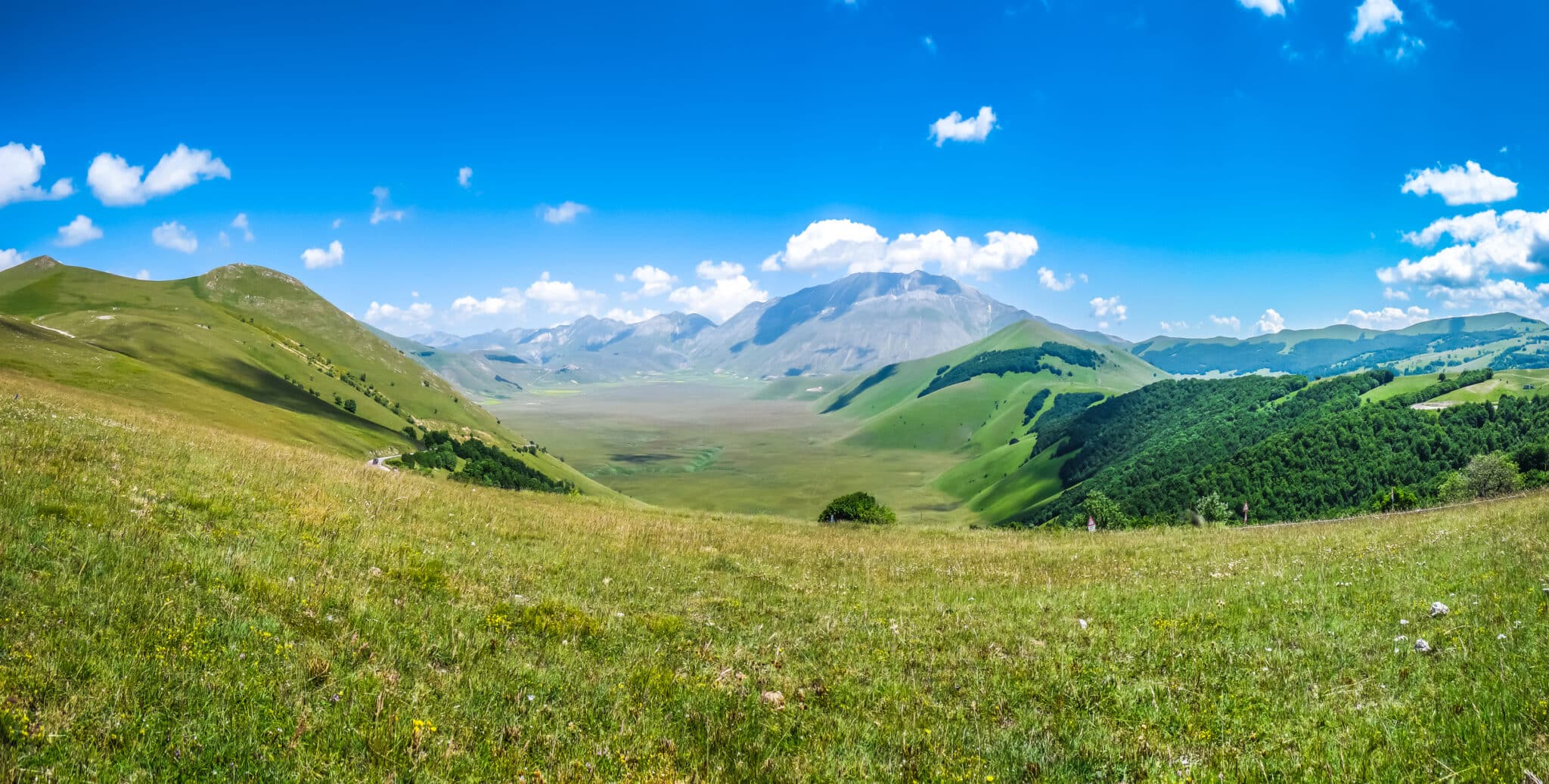 Paysage estival de Piano Grande, Ombrie, Italie. Magnifique paysage d'été sur le plateau de Piano Grande dans les Apennins, Castelluccio di Norcia, Ombrie, Italie.