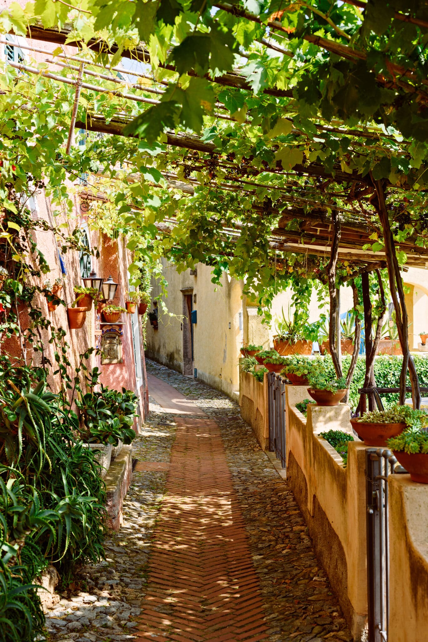 Ruelle italienne ensoleillée avec plantes et pergola