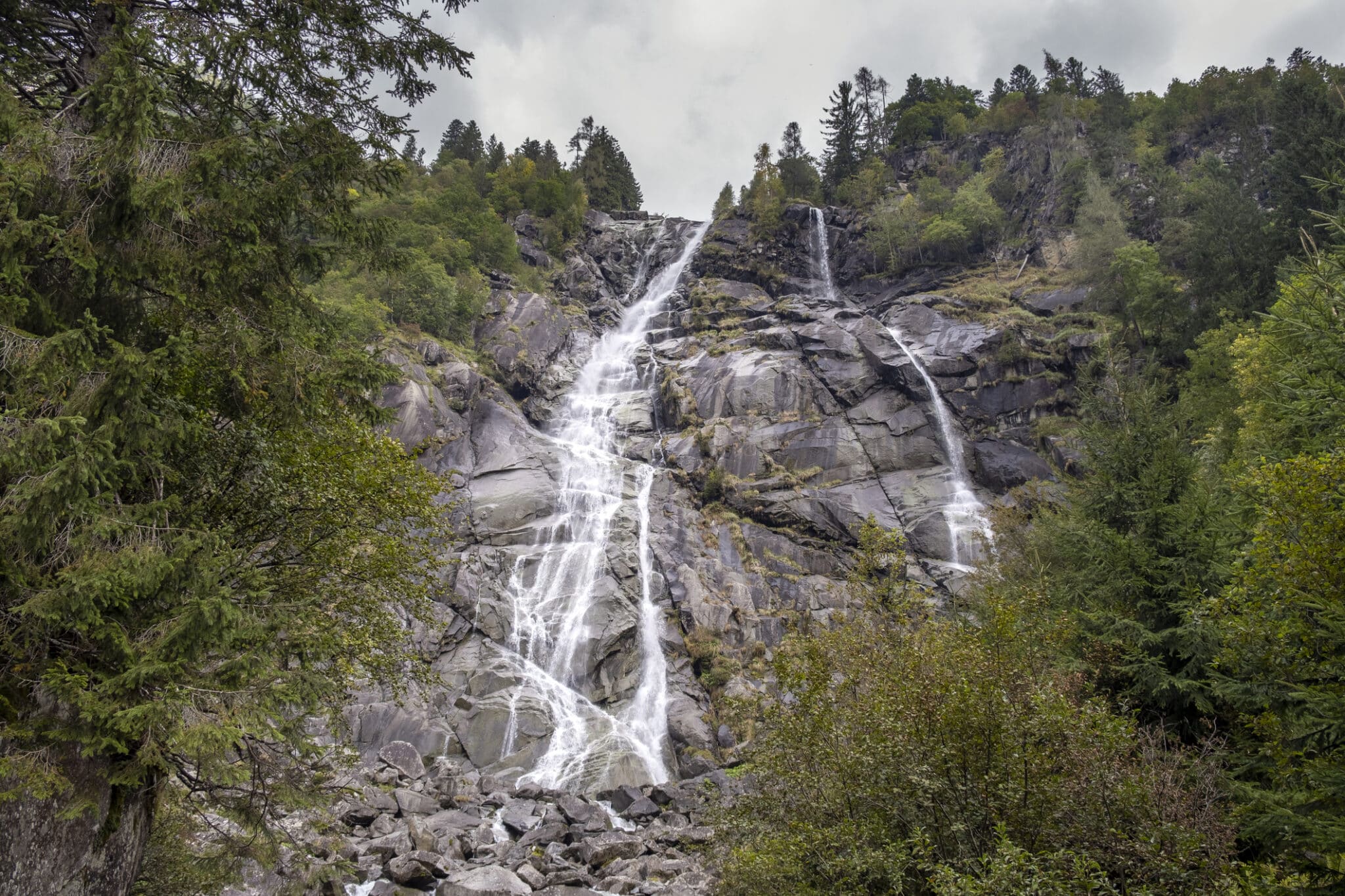 Waterfall immersed in a lush forest