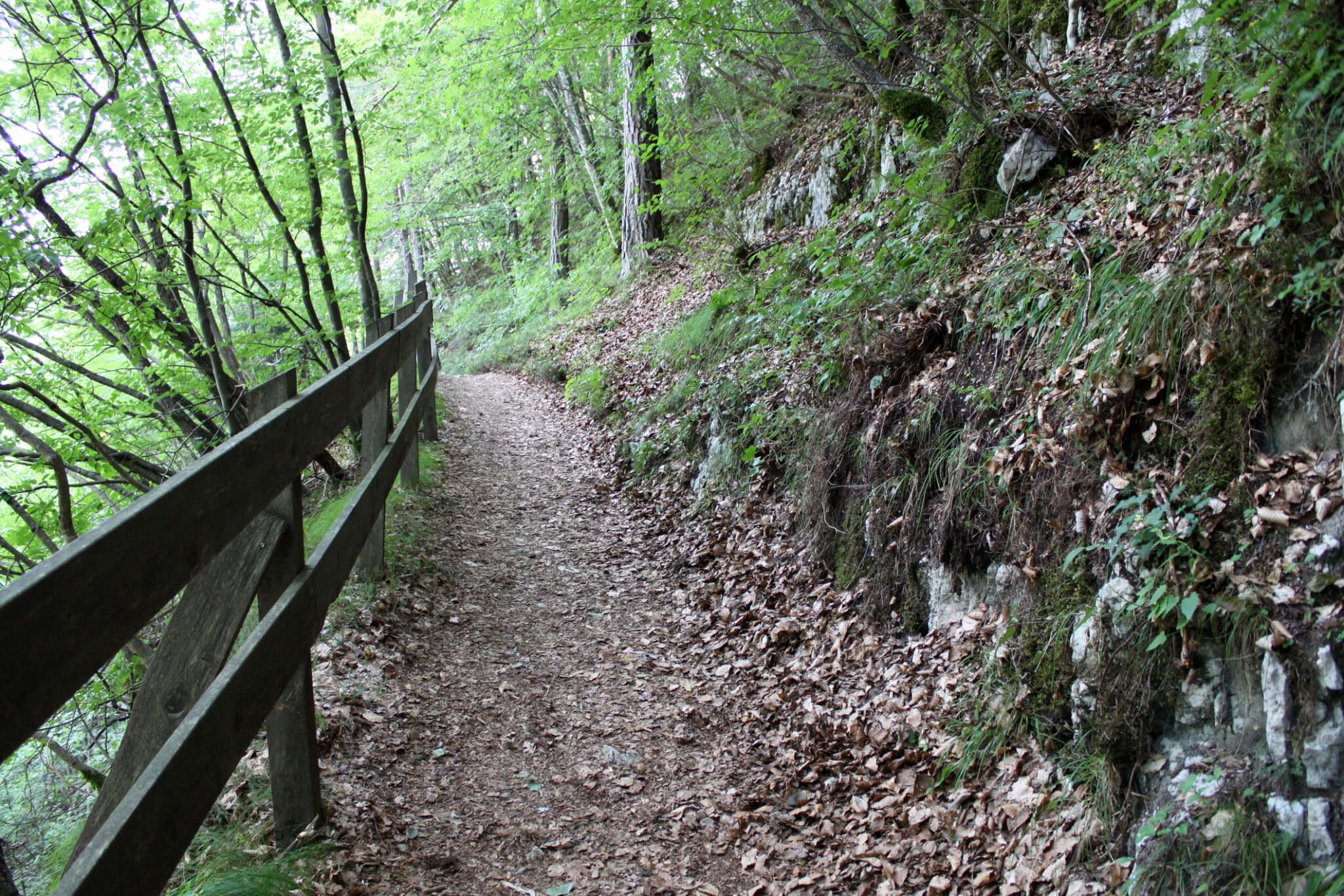 Einfacher Pfad in den Wäldern, folgaria, Italien. Einfacher Pfad in den Wäldern, folgaria, trentino alto adige, Norditalien