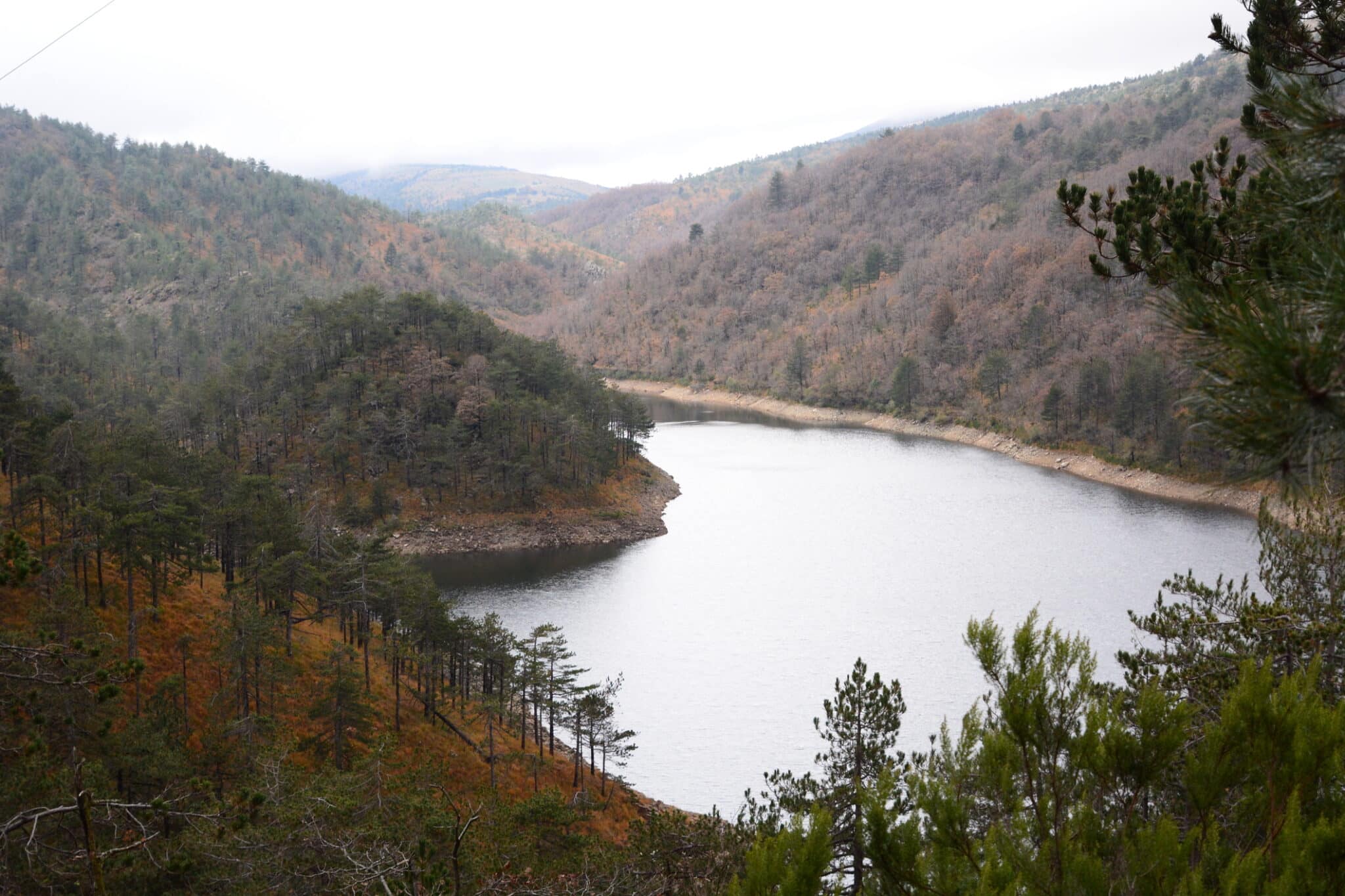 Panorama automnal d'un lac entouré de forêts