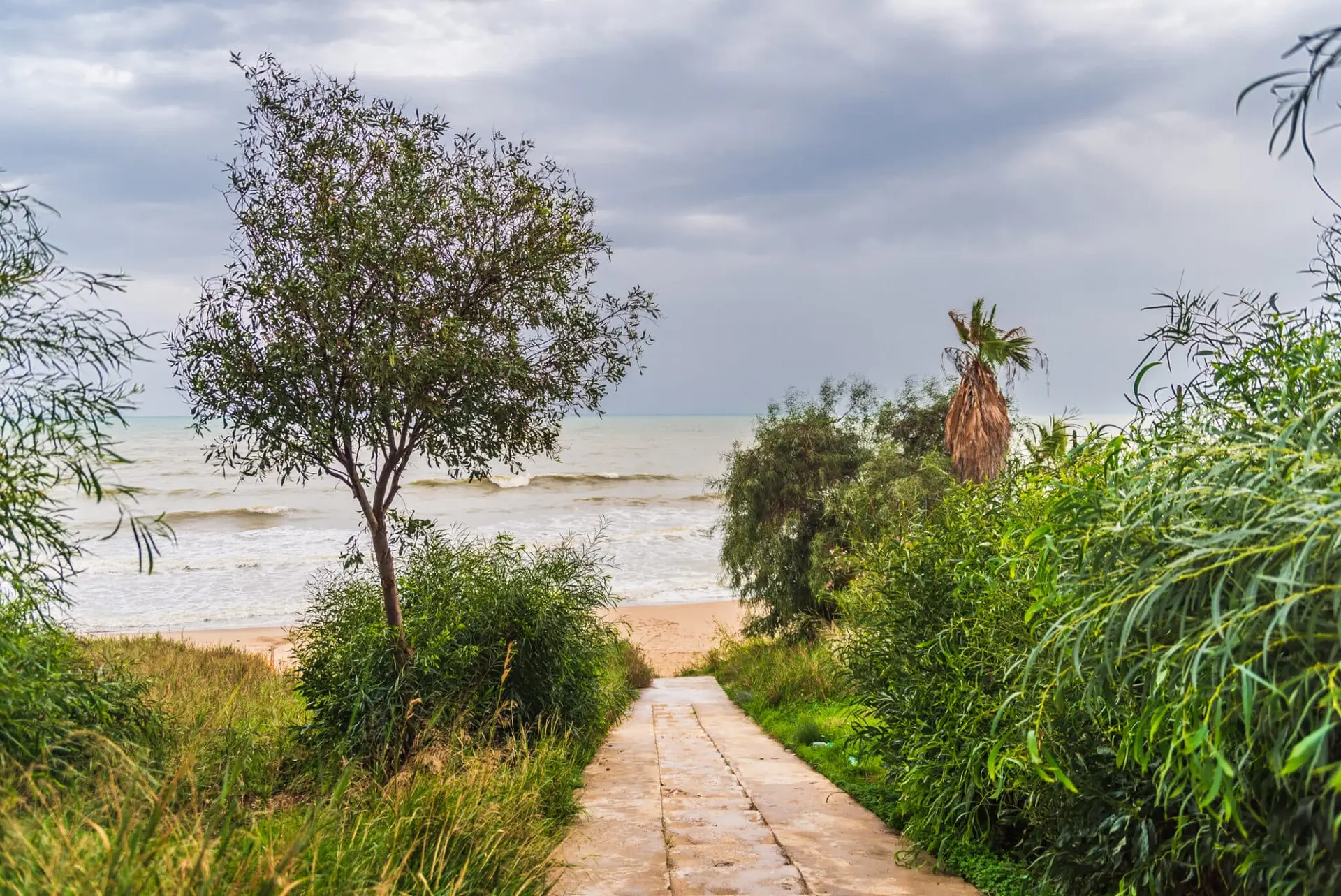 Sentiero verso spiaggia ventosa con vegetazione