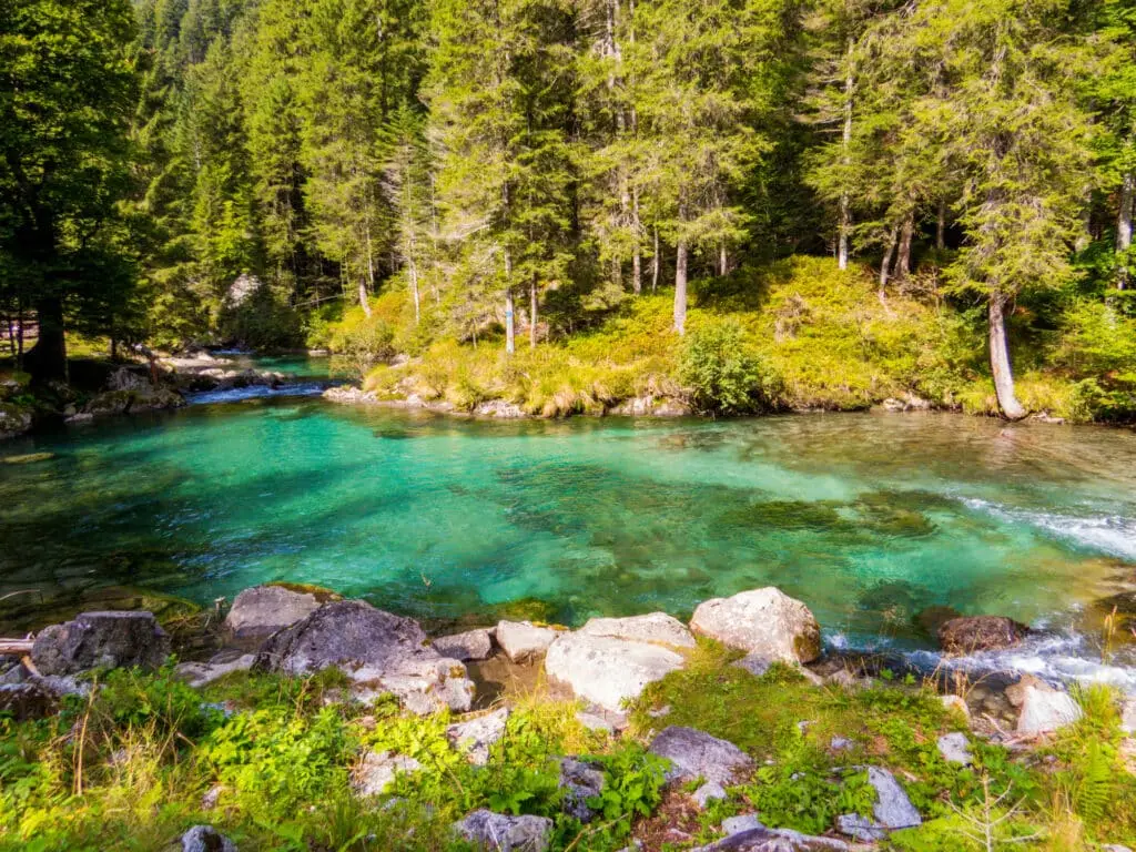 Kristallklarer Fluss in üppigem Wald