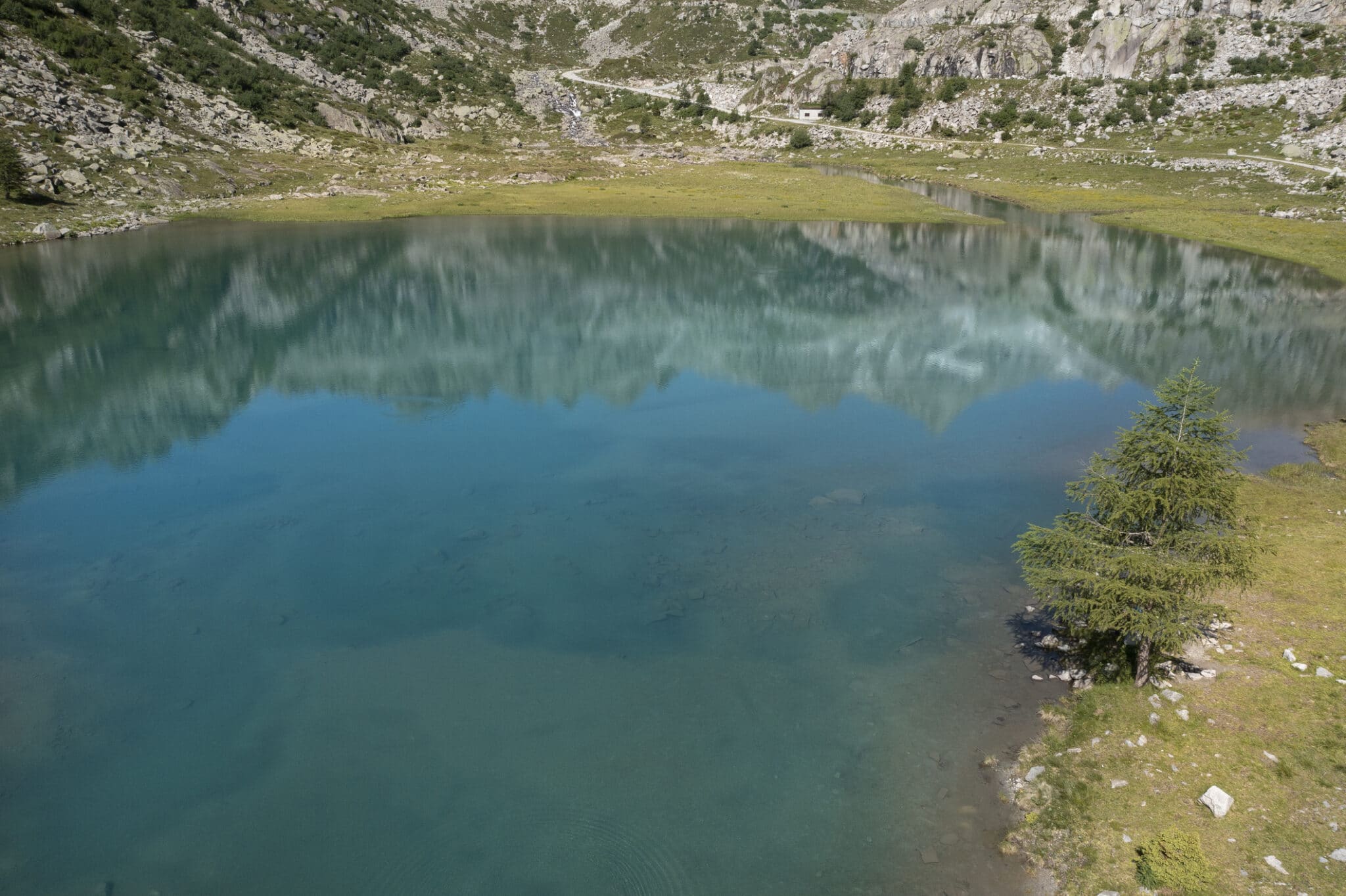 Lago alpino sereno con riflessi e vegetazione