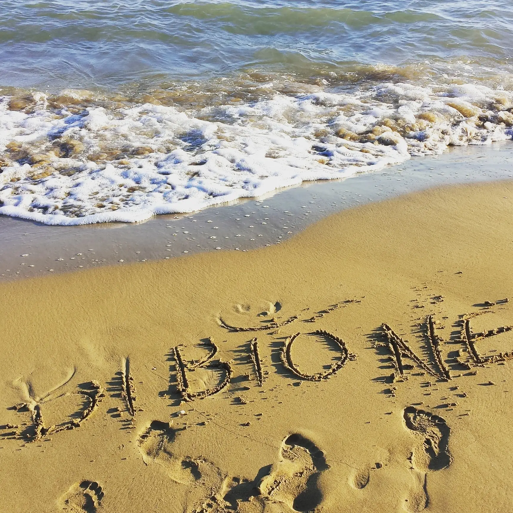 Spiaggia con scritta 'BIOTONE' sulla sabbia e onde