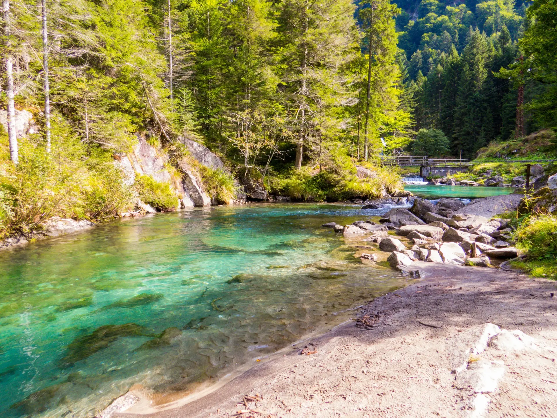 Fiume cristallino nelle montagne boschive