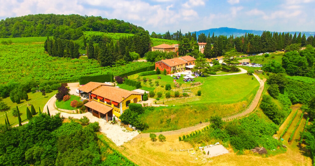 Finca vinícola en las verdes colinas