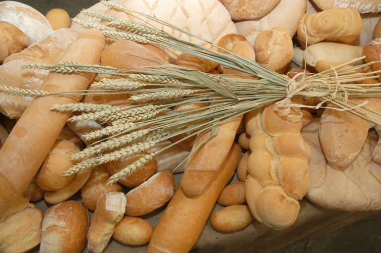 Varietà di pane e frumento